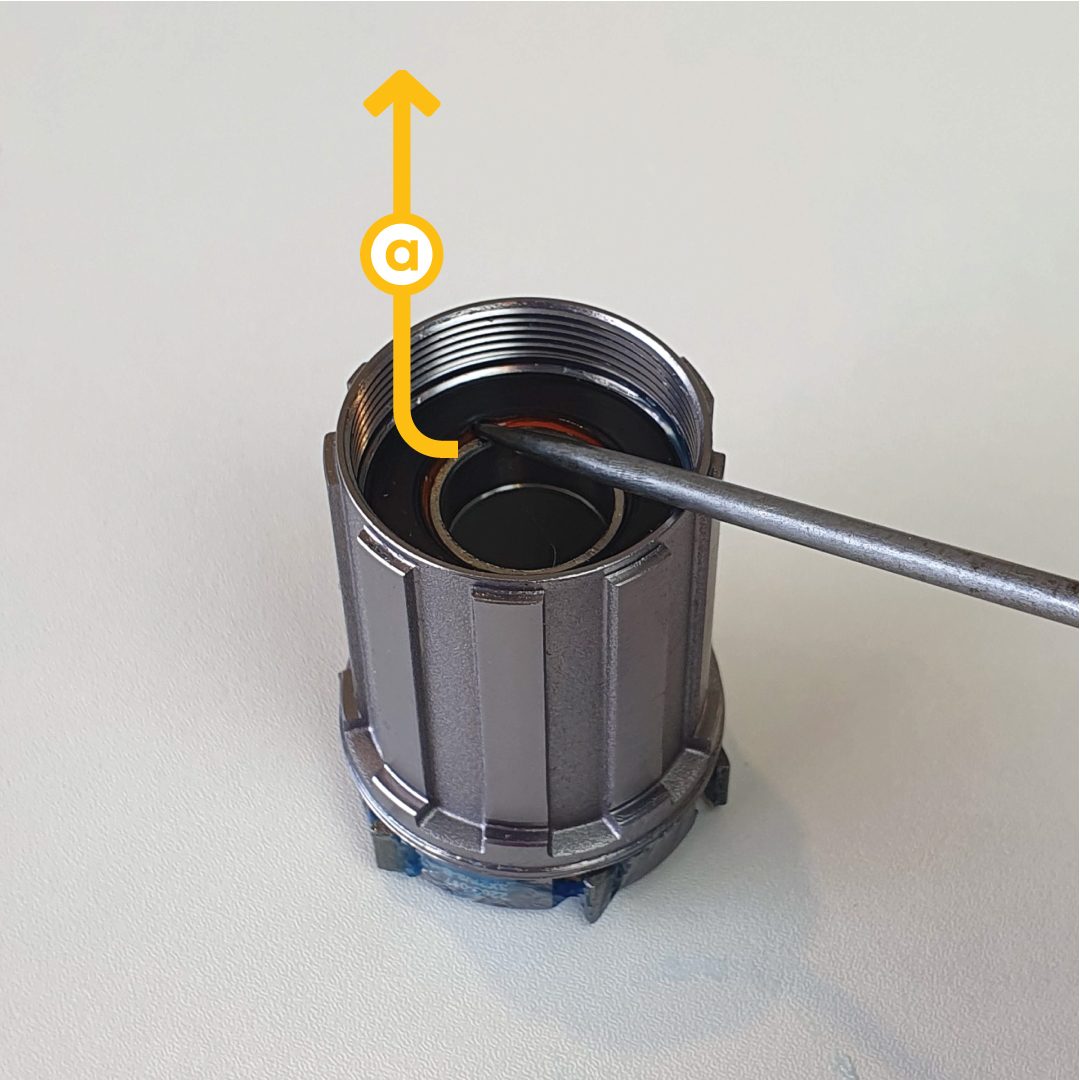 Step 5