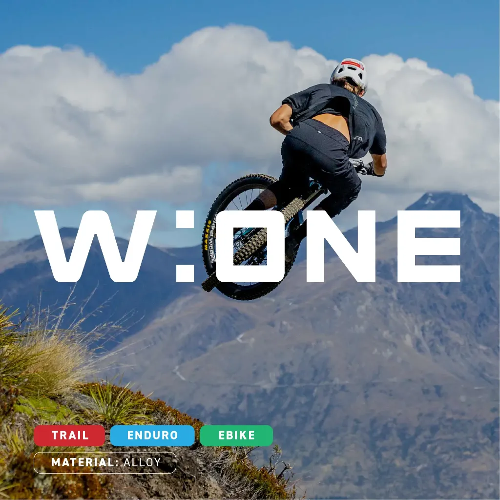 wOne-2.webp