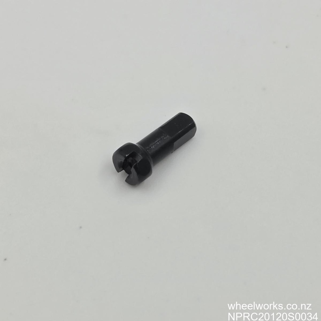 NPRC20120S0034-004.jpg