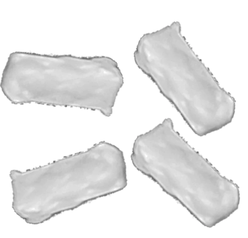[berd_KITCROW] Berd wheelbuilding consumable, spoke holding rod, white, each