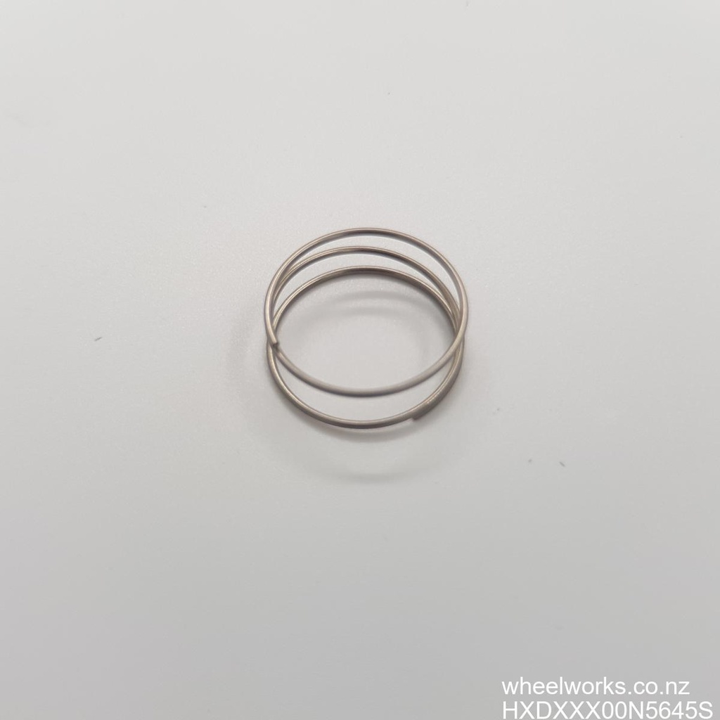 HXDXXX00N5645S DT Swiss small part, EXP star ratchet spring