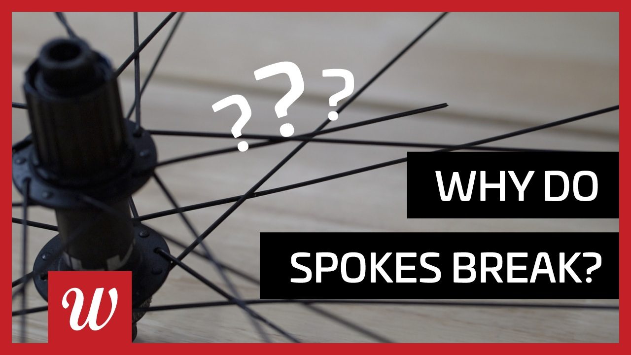 Why Do Spokes Break? Wheelworks